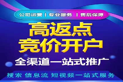 百度竞价推广实战：案例分析与优化策略